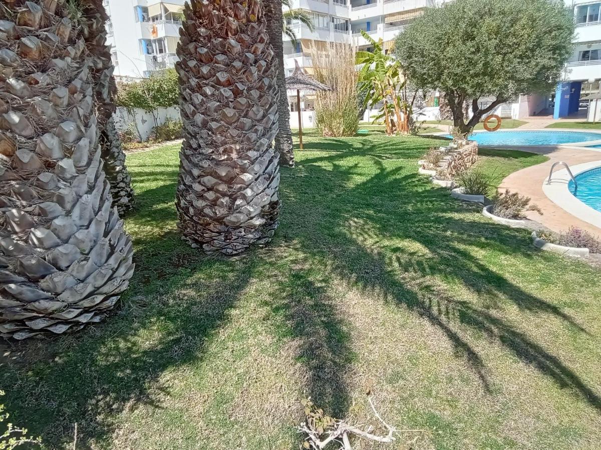 Apartamento La Nina, La Playa Paraiso A 100 Mts. 比利亚霍约萨 外观 照片